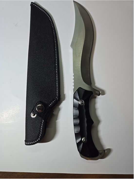 Custom Other - Custom 11.5" Fixed Blade Bowie Hunting Knife with Sheath